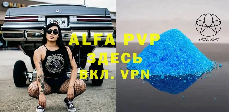 A PVP СК КРИС  Череповец 