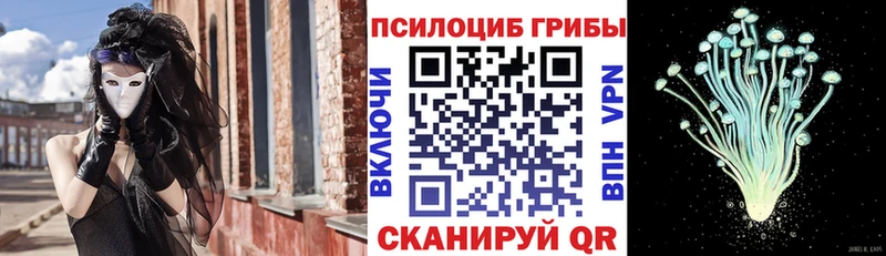 Псилоцибиновые грибы ЛСД  Череповец 