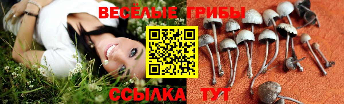 Галлюциногенные грибы мухоморы  Галлюциногенные грибы MAGIC MUSHROOMS  Вход с VPN  Череповец 