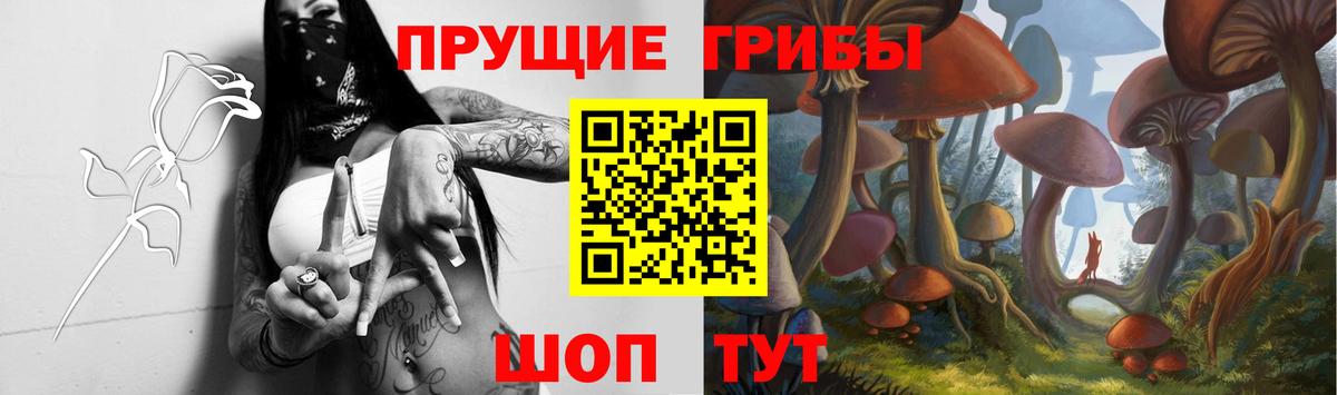 Галлюциногенные грибы Cubensis Череповец